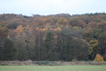 autumn in the mountains