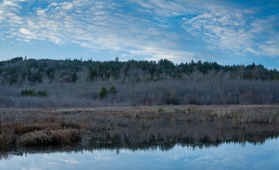 Obraz na płótnie Canvas Late Afternoon Along Beaver Pond At Darlin Creek