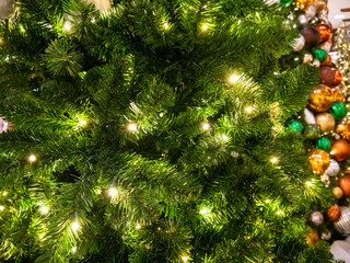 Green Christmass tree fir and lights texture background.