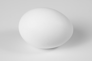 one white eggs on white background