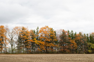 landscape shots