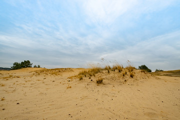 Fototapeta na wymiar Landscape with desert in ukraine 