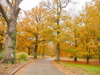 Autumn Colours in the Park