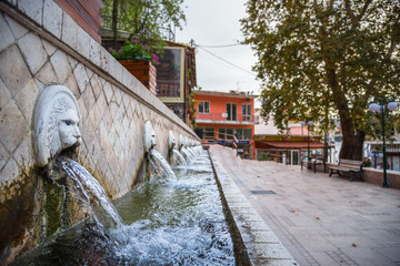 Fototapety na wymiar - Fototapeta24.pl