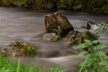 Gestrandetes Baumstück in der Wehra in Todtmoos