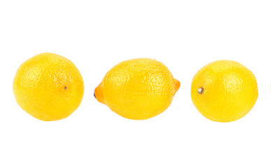 Three ripe yellow lemon citrus fruit isolated on white background