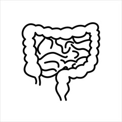 Human intestines in digestive system infographic. Large and small intestine. vector illustration.
