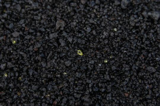 A grain of olivene on the new black sand beach at Isaac Hale Beach Park created by the 2018 eruption and lava flow of Kilauea volcano on the Big Island of Hawaii, USA