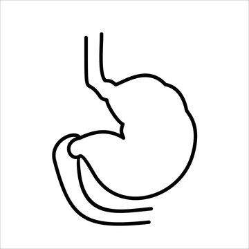 Vector human stomach icon isolated on white background
