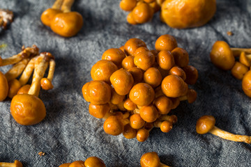 Raw Organic Japanese Nameko Mushrooms