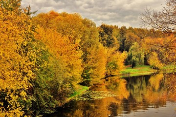 Russian landscape. Colorful autumn trees and river. Color photo taken in Moscow