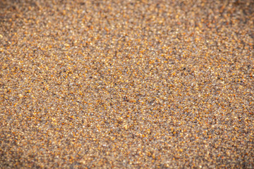 The sand of the Carcavelos beach, Portugal, background