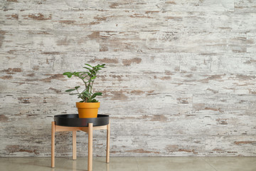 Stylish table with plant in pot near wooden wall in room
