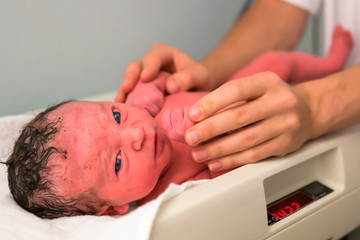 New born baby on a weight, looking directly to the camera - midwife's hand keep care on baby - closeup