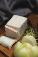 Ukrainian traditional food - salo. Sliced bacon with onion