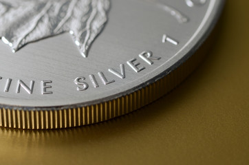 Silver bullion 1 oz coins