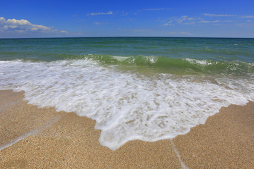 foam on sandy sea shore