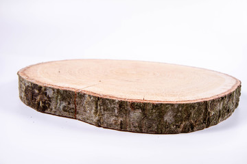Slice of fresh oak wood on a white background