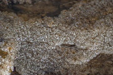 Crystallized salt at the bottom of the lake