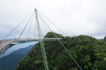 bridge over the jungel