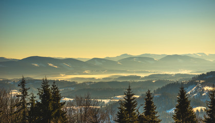 Harsh winter landscape beautiful snowy fir trees
