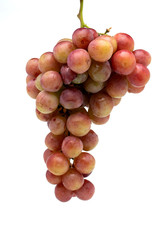 fresh grapes at the white wall