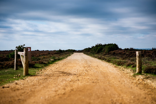 Gravel pathway