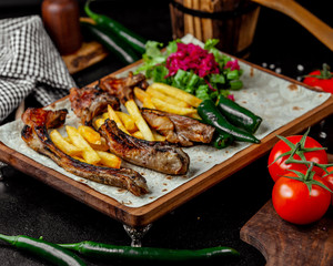 fried meat kebab with french fries