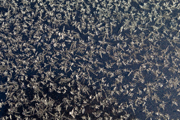 Winter pattern. White snowflakes. Grey colour.