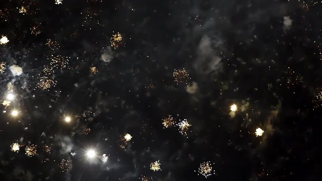 A Shot of Multiple Fireworks going off at a Fireworks Display Outside on a Clear Starry Night