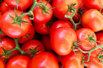 Delicious red tomatoes. Red tomatoes background. Group of tomatoes
