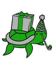geburtstag schildkröte geschenk 
