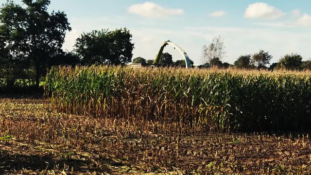 Maisernte, Maish&auml;cksler in der Aktion, Erntewagen mit Traktor