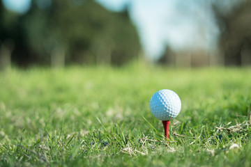 Golf club and ball on tee ready to shoot