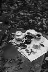 Cup of tea and teapot in garden