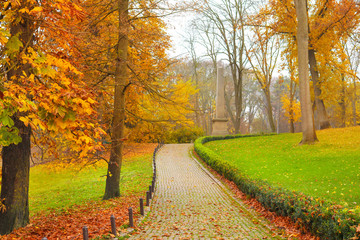 Naklejka premium View of beautiful autumn park
