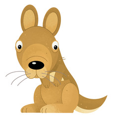 cartoon scene with happy and funny kangaroo on white background - illustration for children