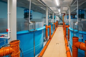 Modern fish farm with closed water circulation supply