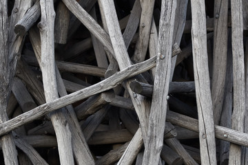 Wall of dry trunks and branches