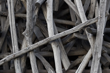 Wall of dry trunks and branches