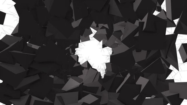 Circular black animation with cubes.Flying cubes on a white background - Powered by Adobe