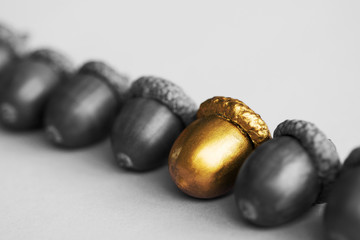 colorful acorn against of ordinary acorns abstract vision be different, unique personality or standing out from the crowd, leadership quality