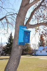 Birdhouse