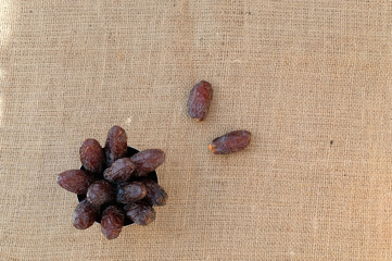 Close up high angle shot of dried soft large brown sweet Medjool or Majhool dates (Phoenix dactylifera)  in a metal bowl on jute sack cloth background. Two of them are outside the cup.