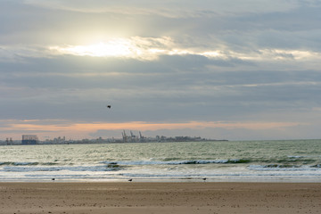 Fototapeta na wymiar Beach landscape, three seagulls on the sand and one flying