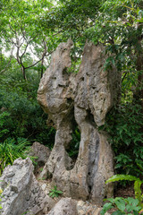 大石林山