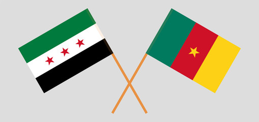 Crossed flags of Cameroon and Interim Government of Syria