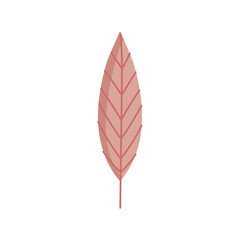 leaf foliage botanical nature icon design
