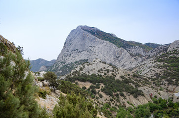 Fototapeta na wymiar Mountain landscape. Thuja, mountain vegetation and large rock.