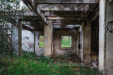 Fototapeta na wymiar Ruins of a house in the countryside